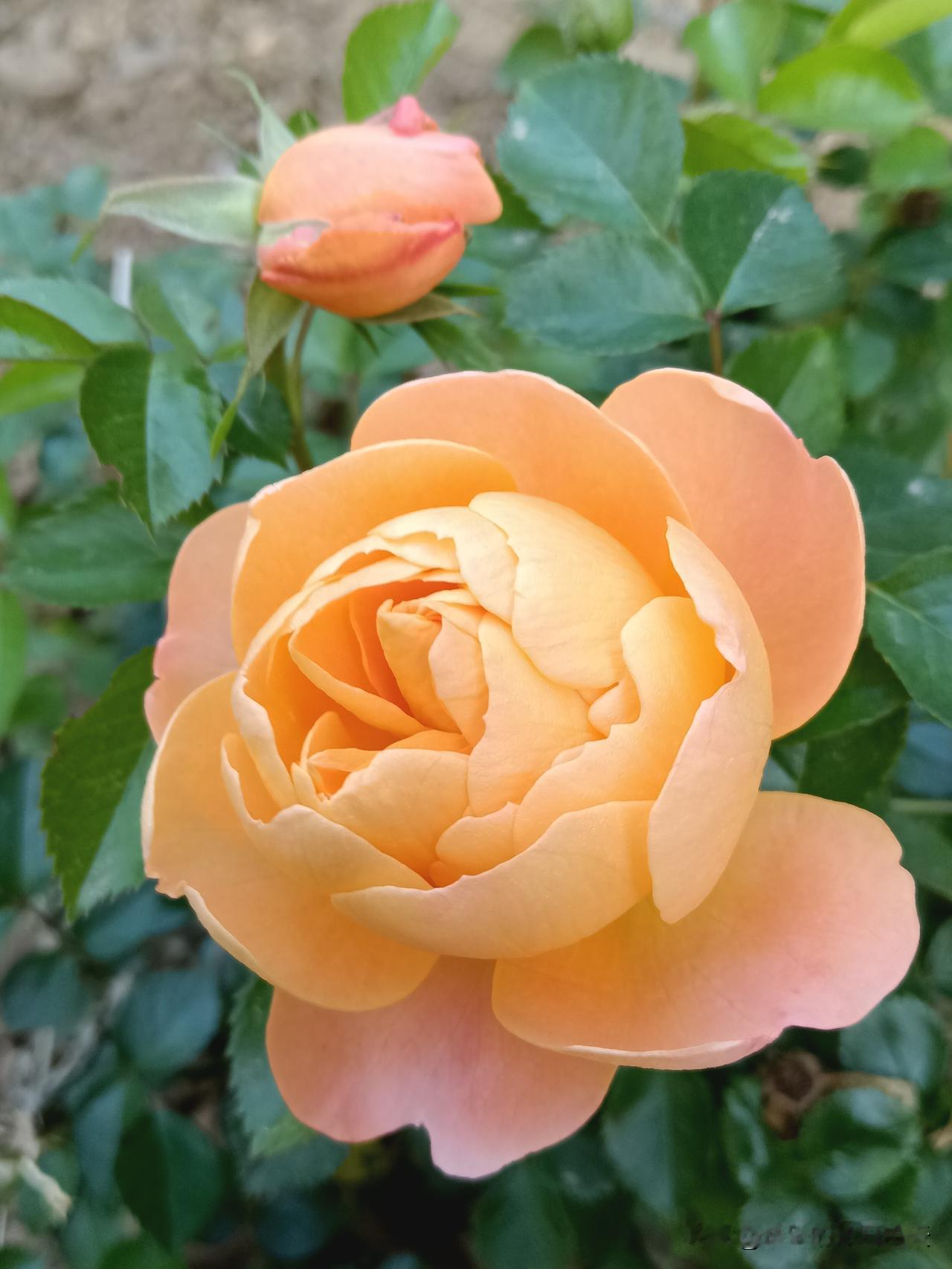 目前我国幸福感最强的十种职业：
第一名：公务员
第二名：教师
第三名：医生
第四