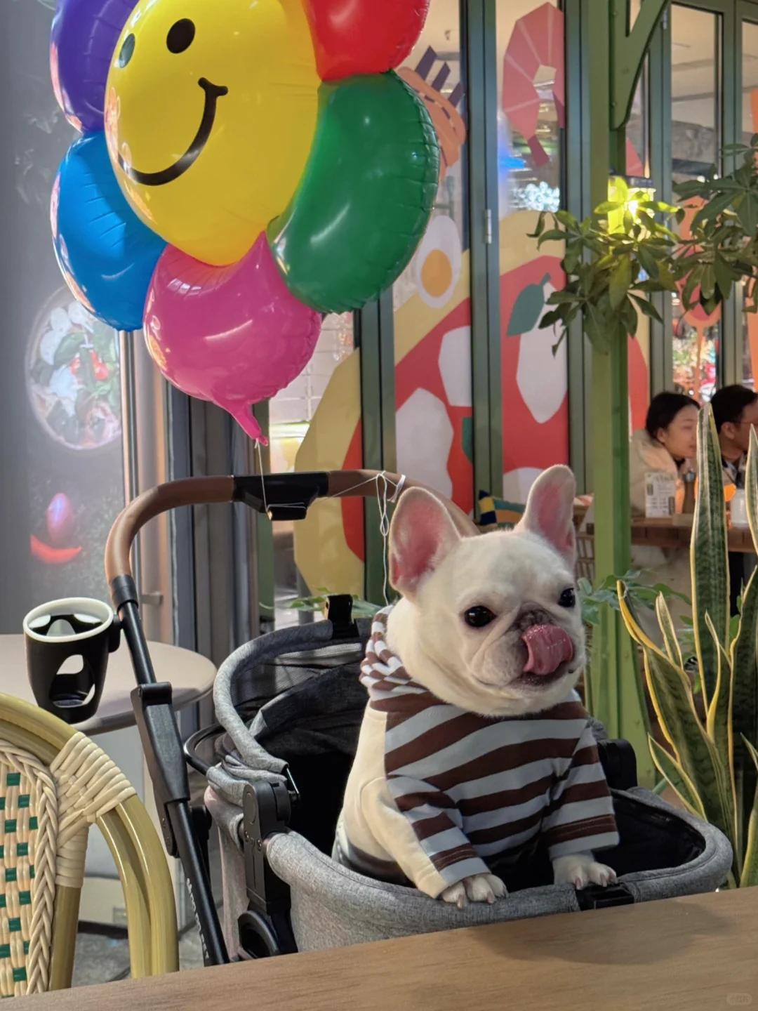 你好，介意和小狗拼一桌吗？