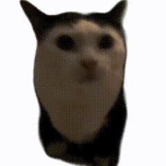 超好用的透明底猫meme表情包 