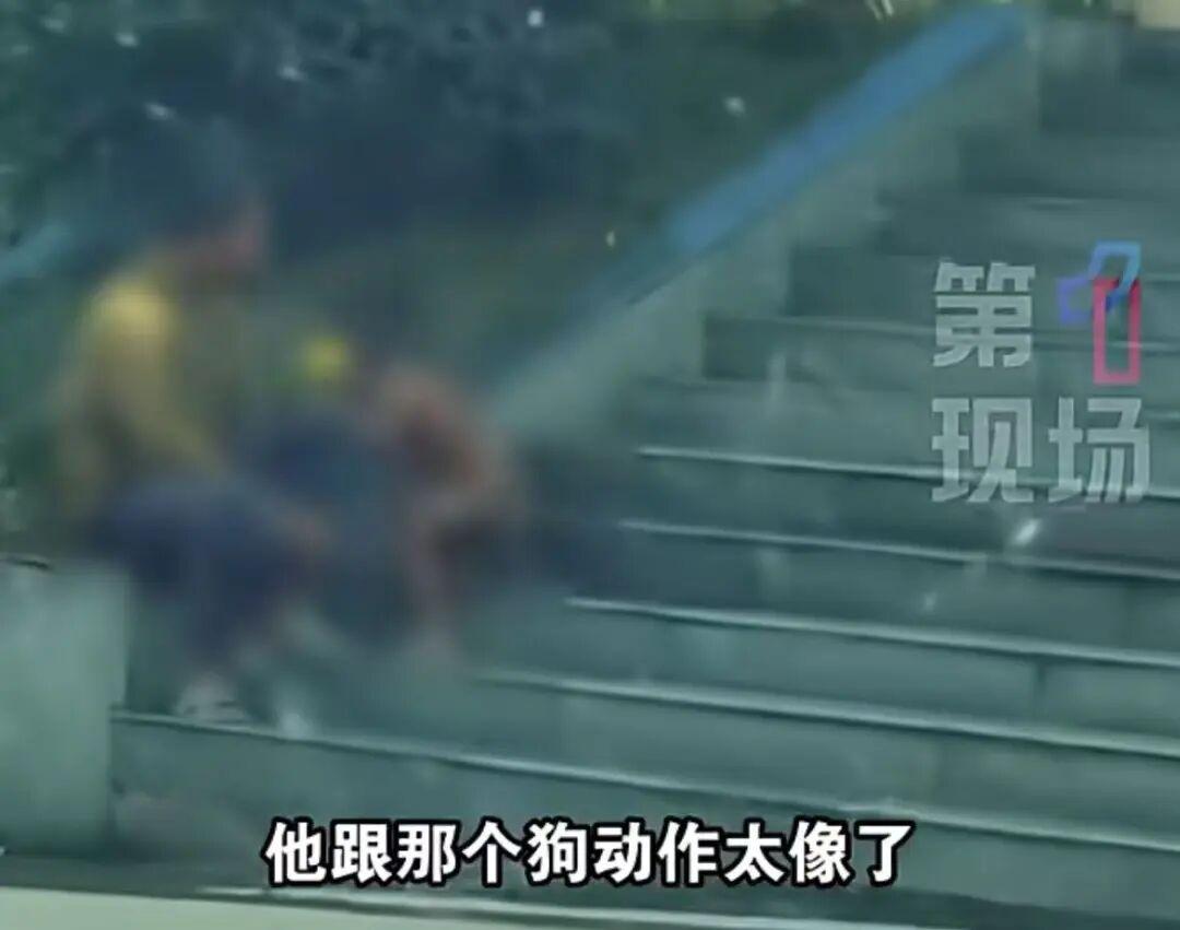 让人惊掉下巴！四川高速服务区惊现“野人小孩”，吃饭、爬路、跑起来全像小狗，就连衣