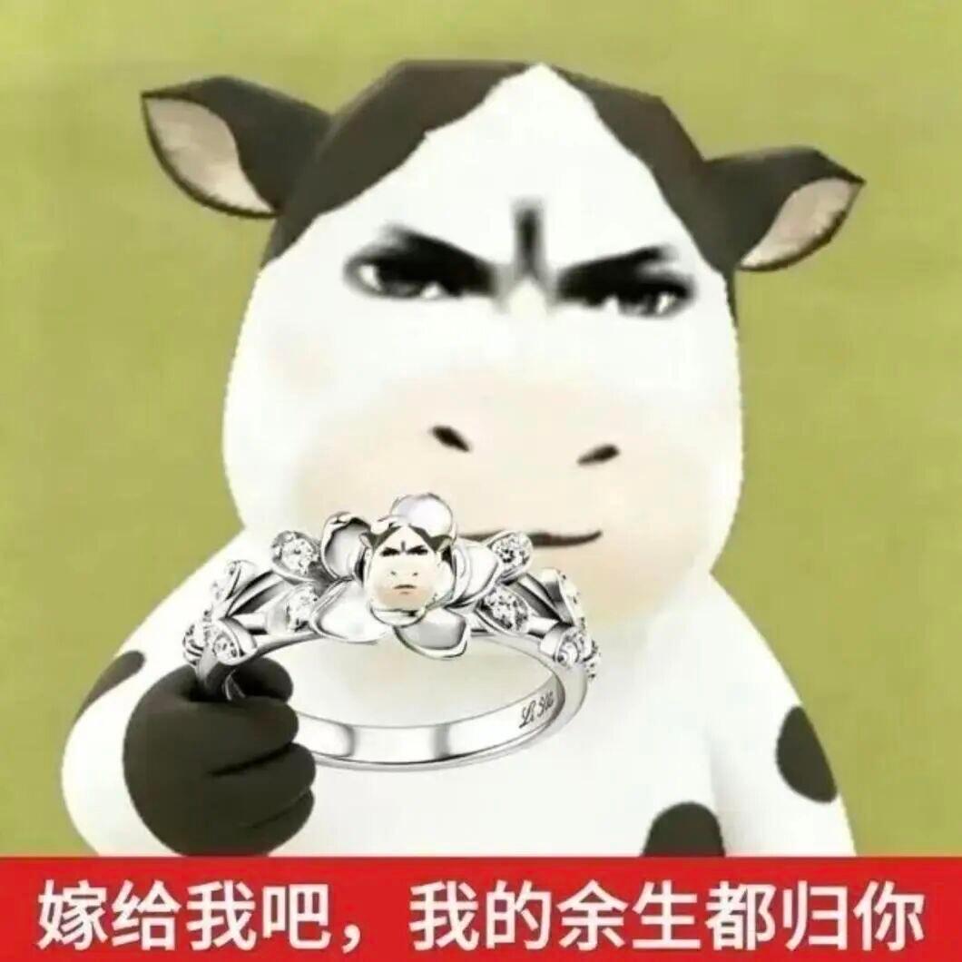 怎么去爱一个人不用教，这是我对李云霄与生俱来的能力 
