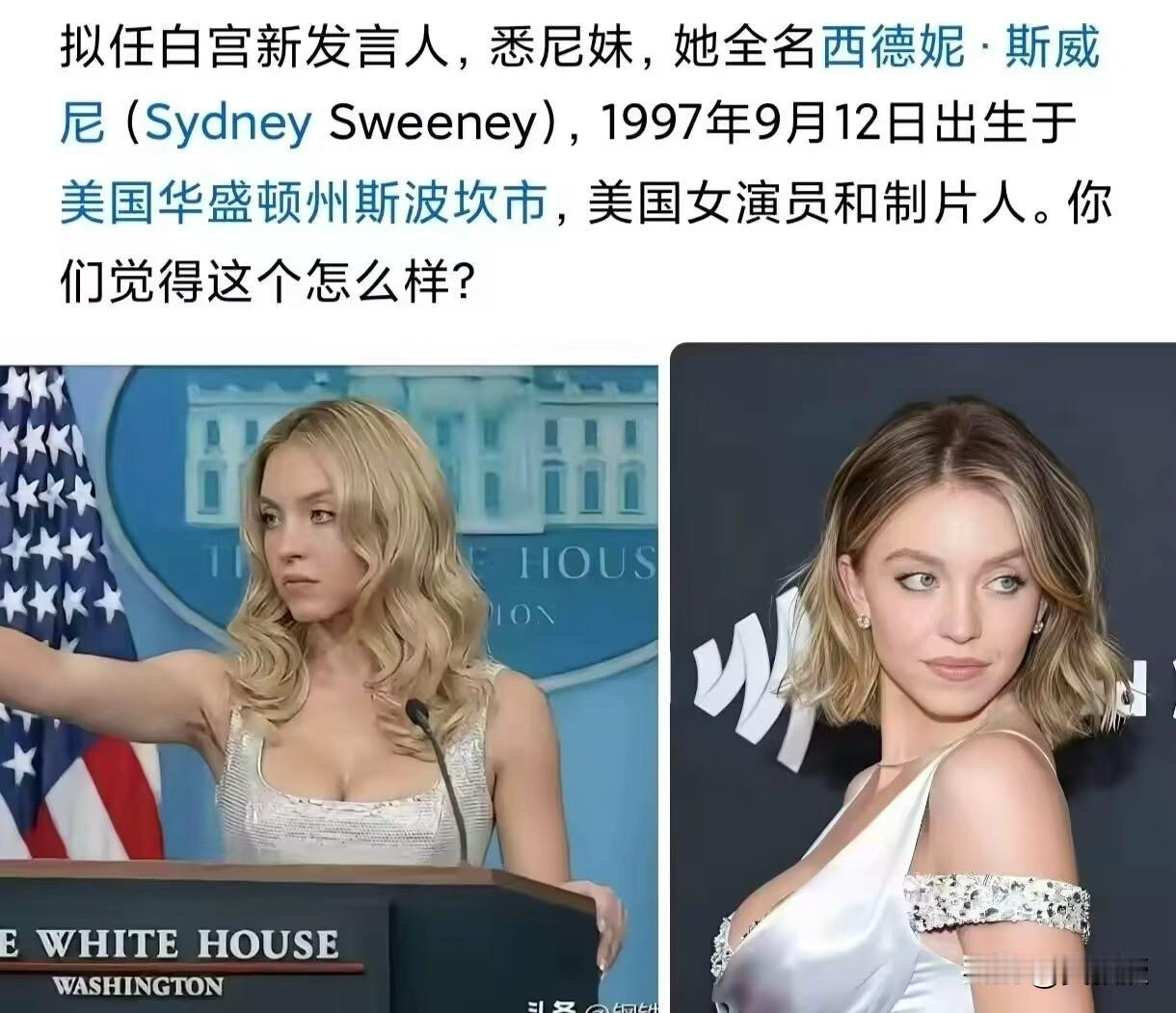 特朗普的新发言人
网传换成了好莱坞女星悉尼妹，又是一个大美女。不得不说，川普找的