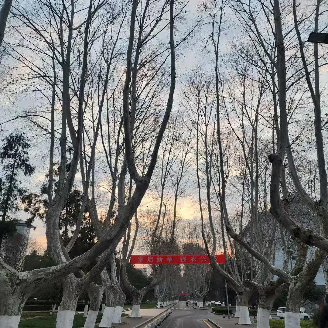 清晨之天空
（文化滋养游子心）晨起时的天空 清晨美景照 早上日出的美景 晨光清晨