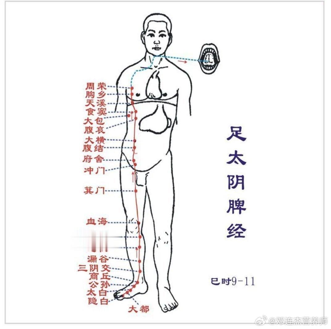 #中医话养生[超话]#学会“揉脾经”，能揉掉很多慢性病！脾经上的很多穴位都是帮助
