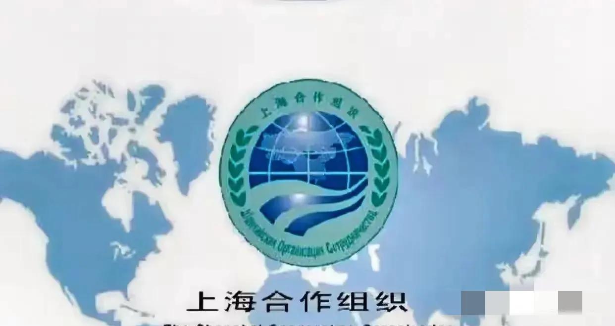 伊朗你上就是了，怕什么怕，上合组织给你兜底！
上合组织名义上是贸易组织，但更是一