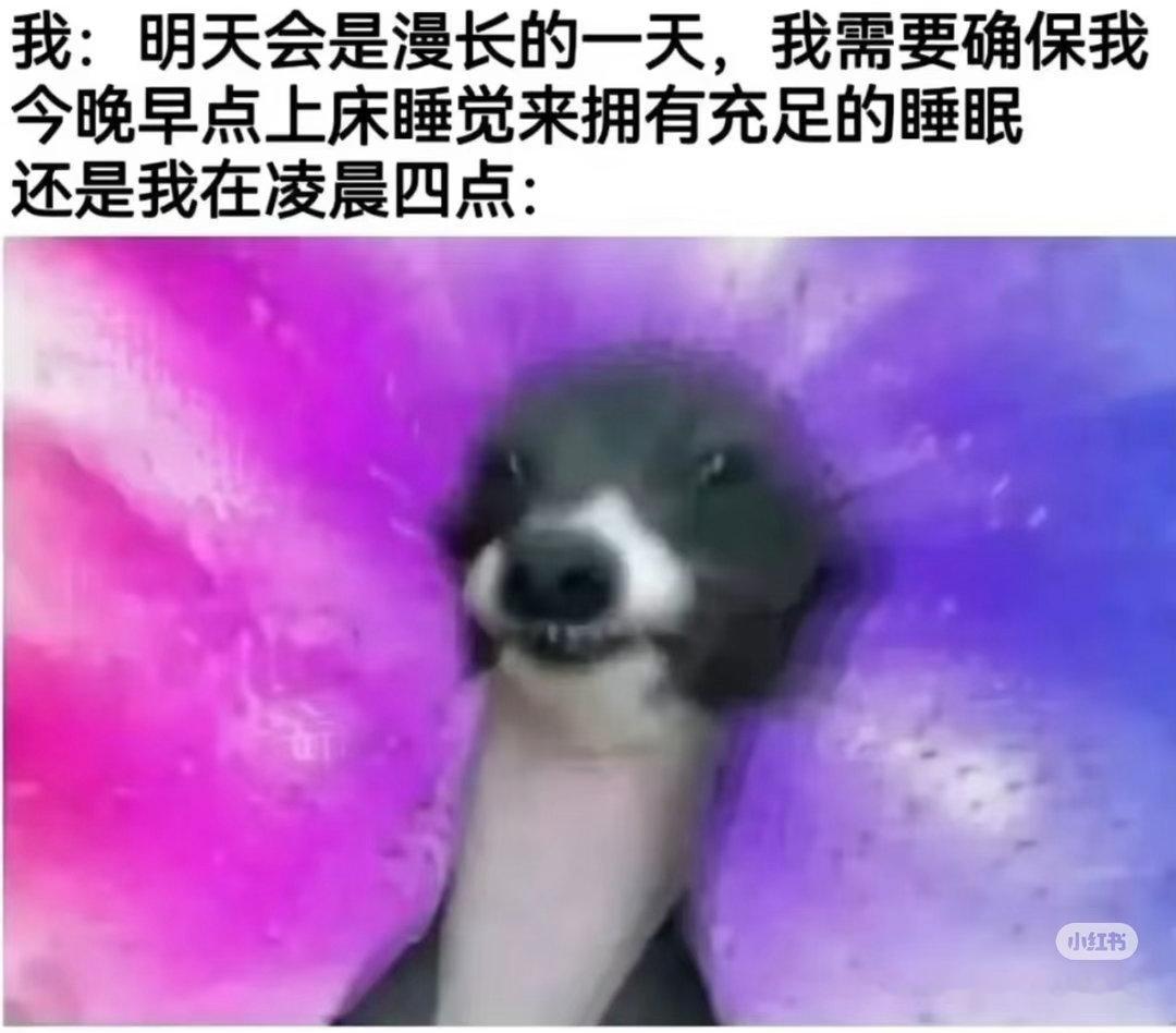 只有上班能治我了坏消息 下个月就要去上班了