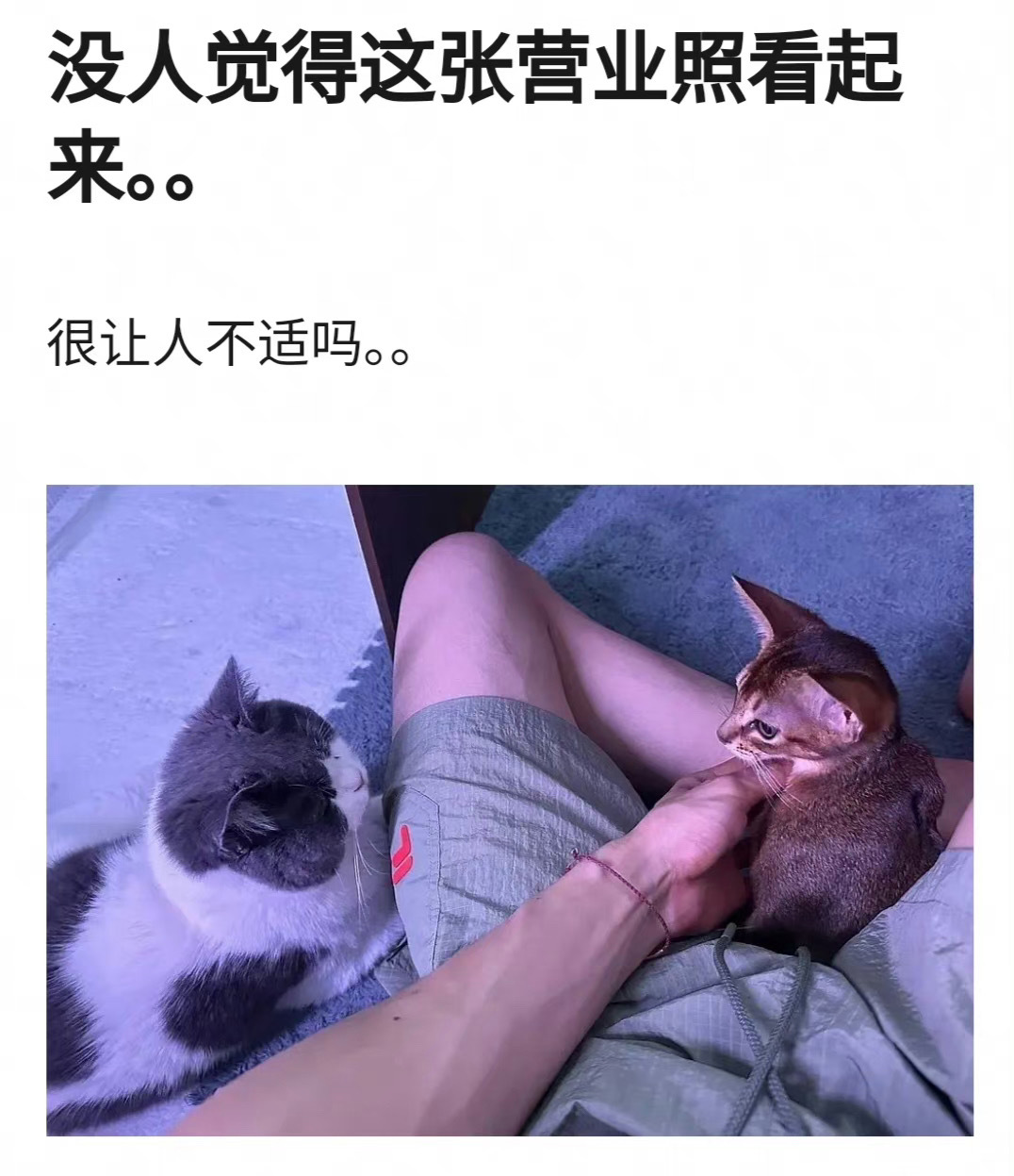 王星越奇怪的角度，手上的青筋，还有某个部位环抱着小猫咪，确实有点……说实话，如果