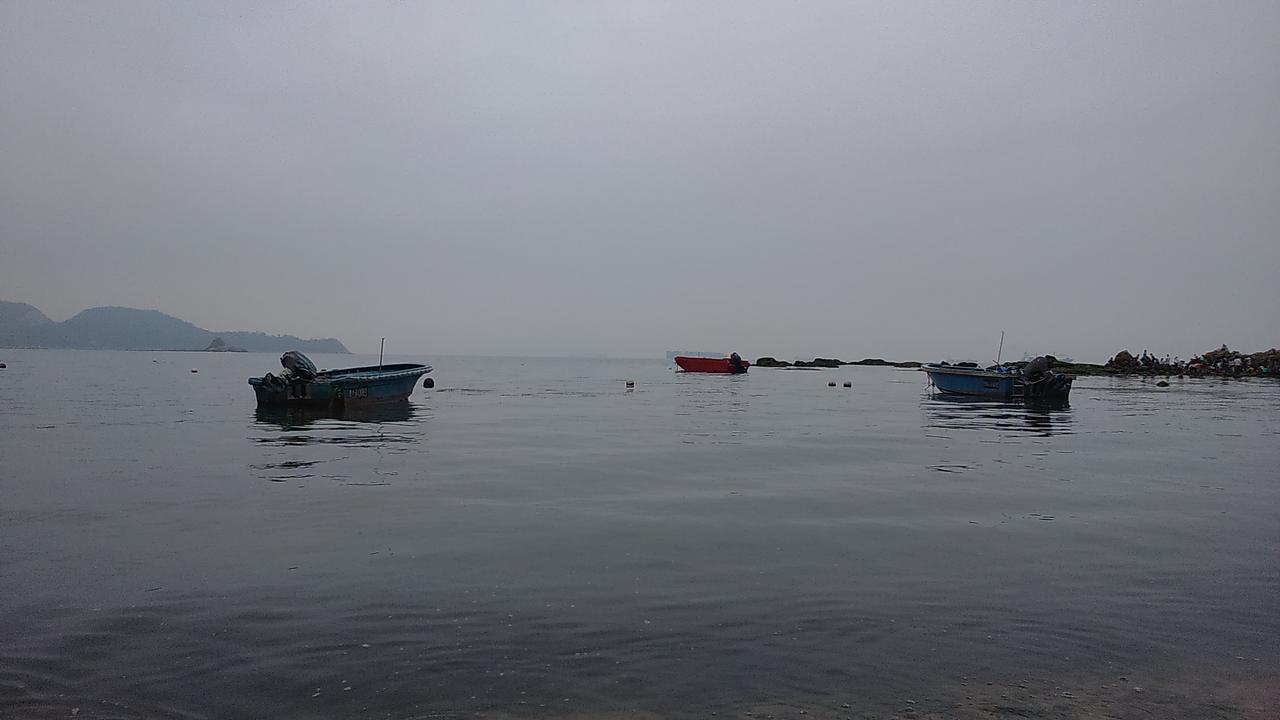 微雨中的生活感悟

微雨，轻柔地飘落，似是生活给予的细腻馈赠，带着几分朦胧与静谧