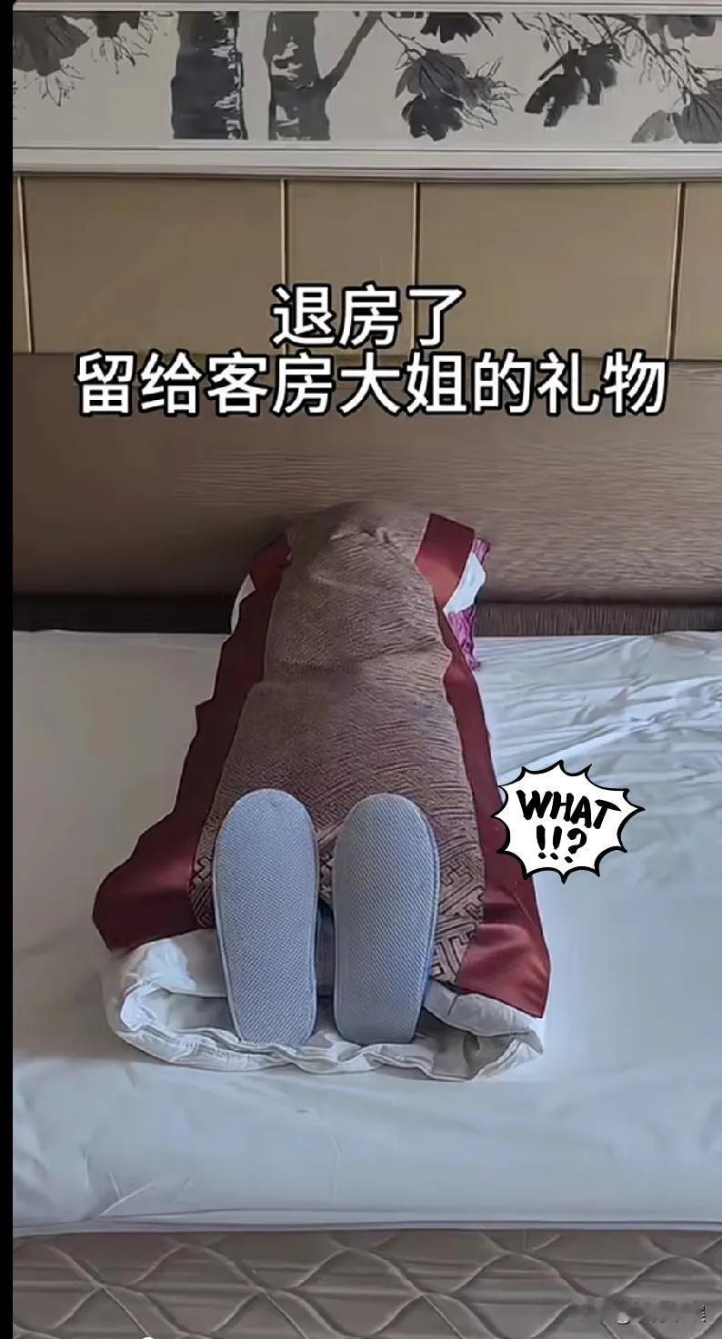 太膈应人了！房客退房，酒店保洁阿姨打扫卫生时被吓惨了！
房客退房后，酒店保洁阿姨