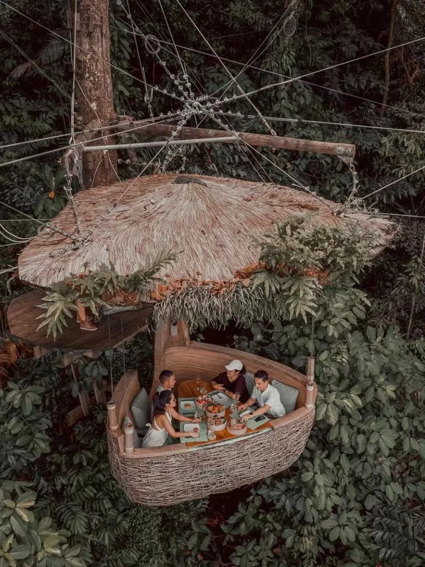 泰国小众出游 🪹这家在树顶的餐厅好特别！