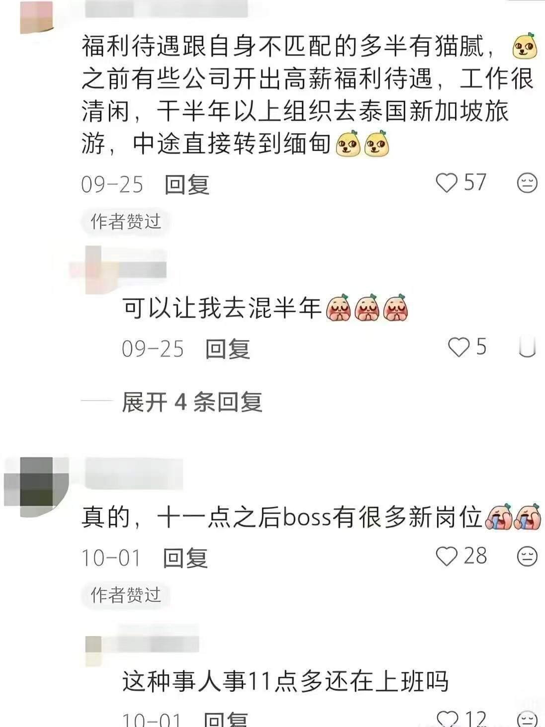 果然能找到好公司的都是狠角色！ 