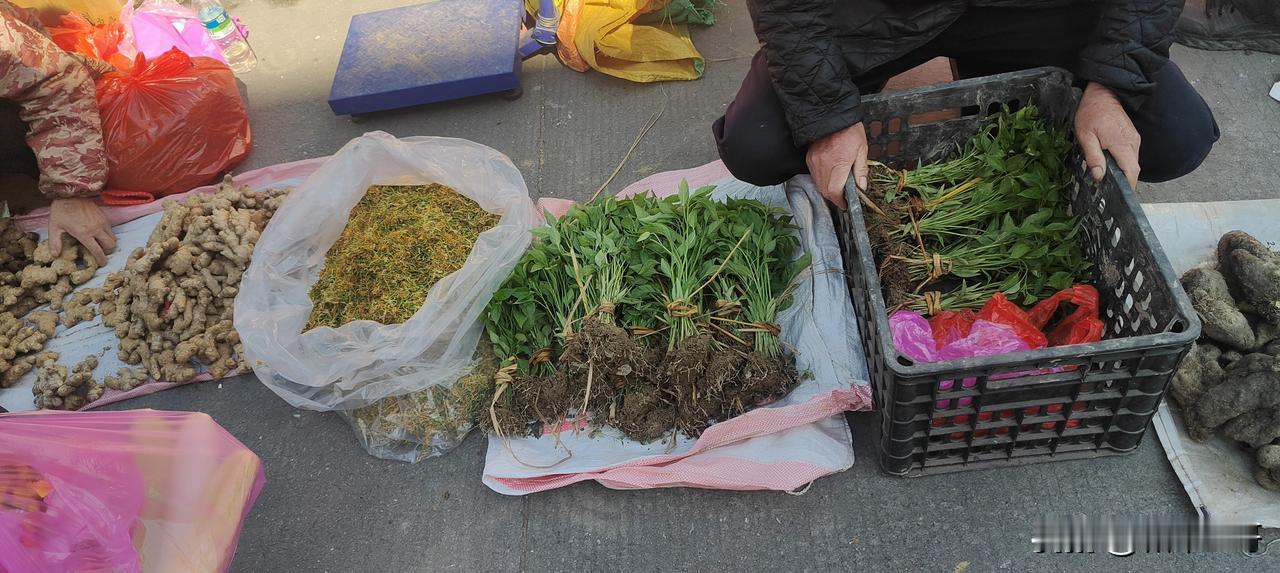 误入股市后，我的人生离谱历险记！

第一章：自封股坛大佬，华尔街之狼现
第二章：