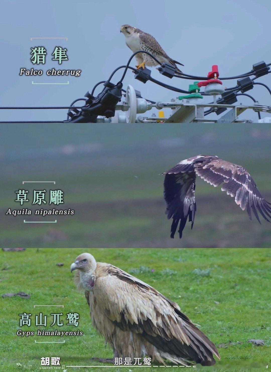 肖战奇妙之城优酷五一限免优酷你真的有点东西！免费看《奇妙之城》，还能解锁更多精彩