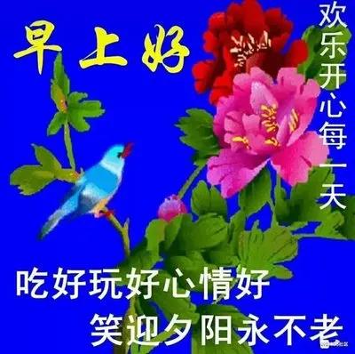 遇到知心人
珍惜一辈子
遇到好朋友
想念一辈子
有个好身体
幸福一辈子
生命中有