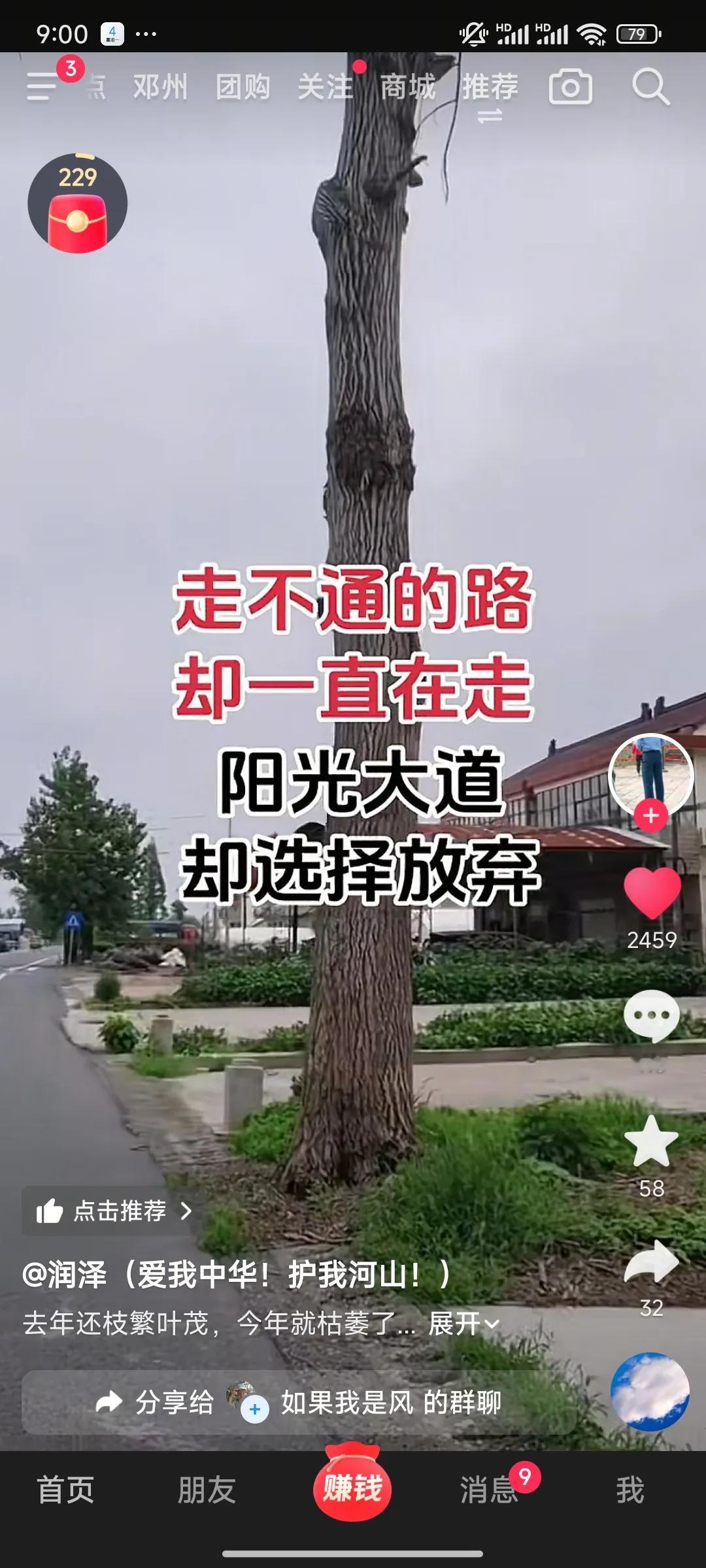 人教人不中，只有难墙中，如果撞了南墙不还不知回头就是自作孽不可活了。