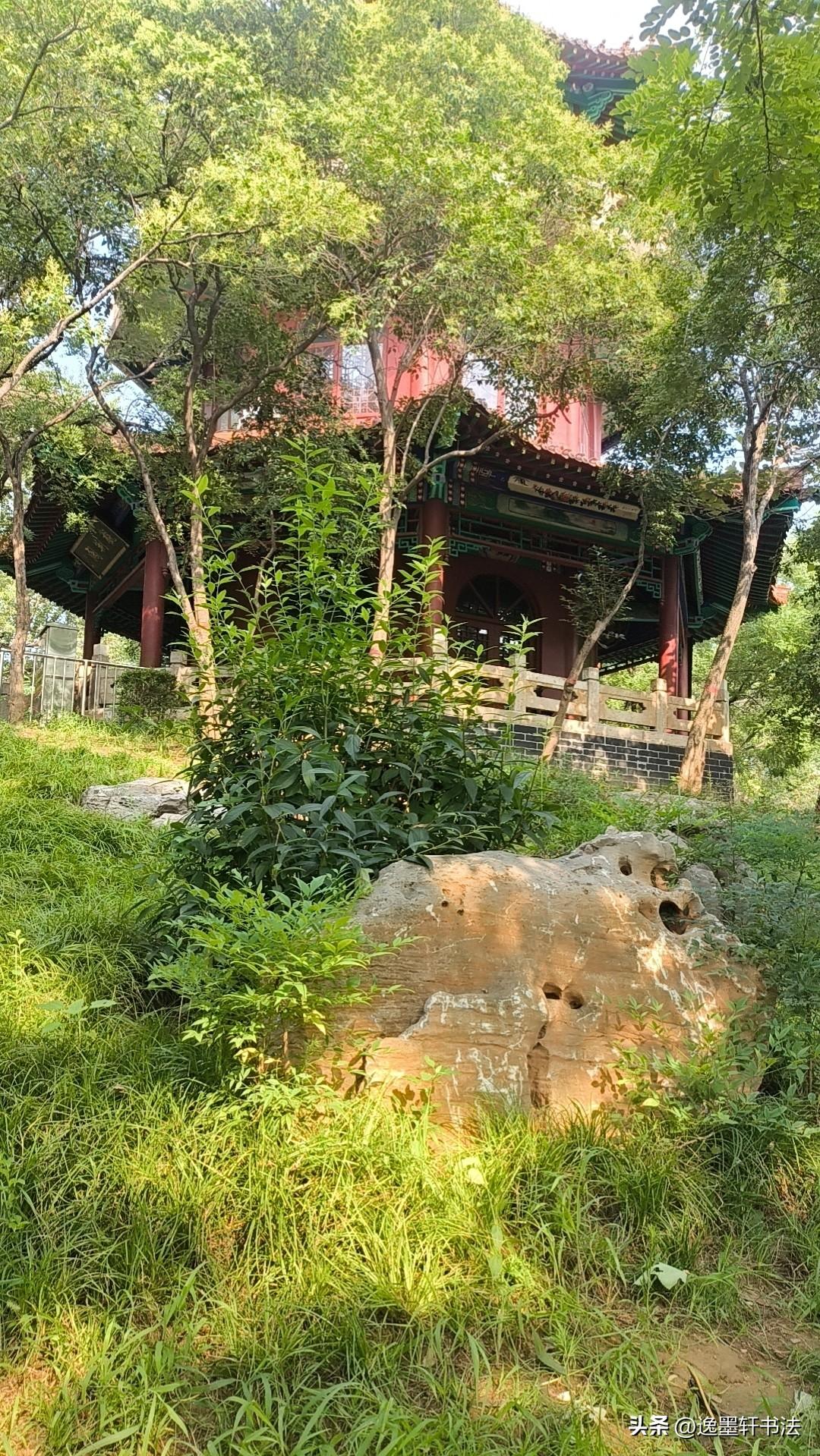 晒图笔记大赛这山间的凉亭抚慰了我这爬到山顶的炙热的心