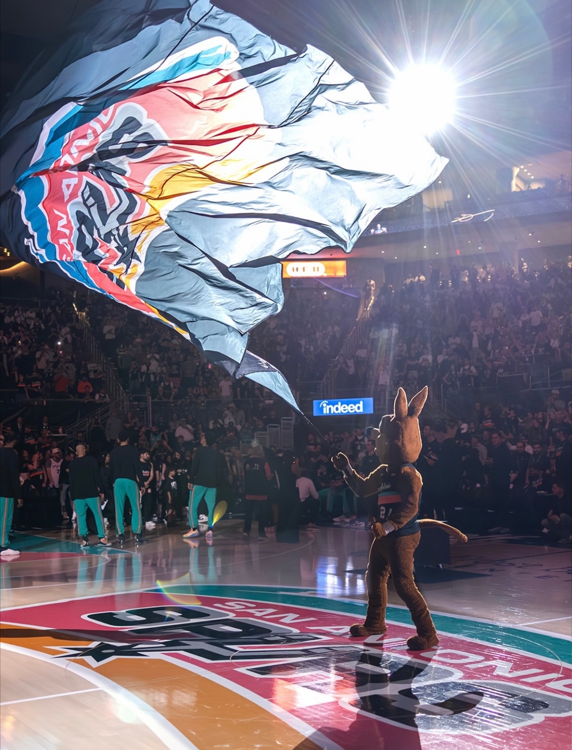 晚安马刺 愿你逆风时，独立坚定 勇敢前行，迎风时，悦喜满怀 笑对生活。晚安刺蜜明