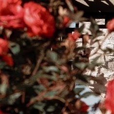 2026/9/9信任是是夏日清凉的风，冬日里燃烧的炉火；信任是人与人的率真，心与