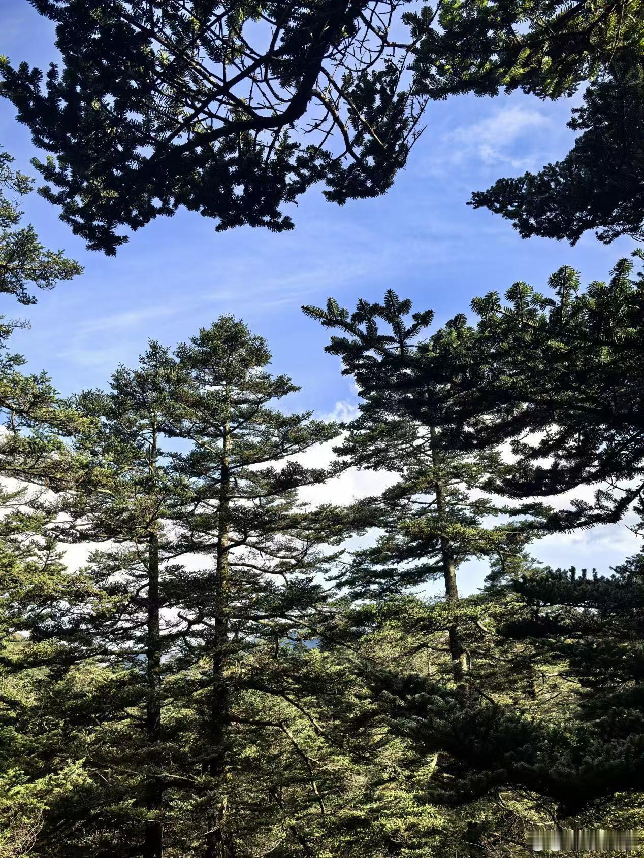 青藏高原有多处远古人类痕迹青藏高原远古时代就有人了 又学到新知识了，青藏高原远古