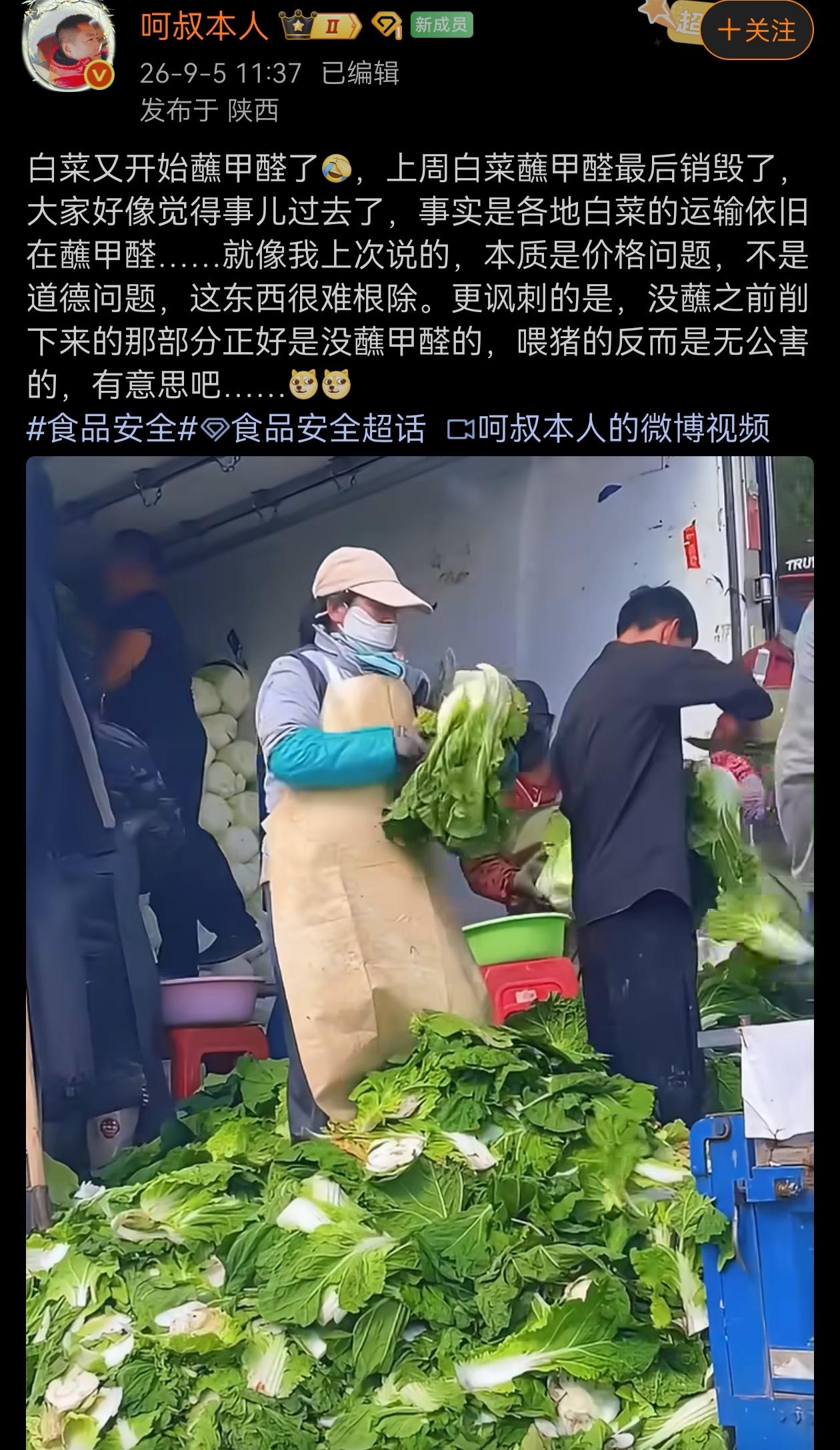 白菜蘸甲醛这事还在发生？这是什么时候的事，哪里的？