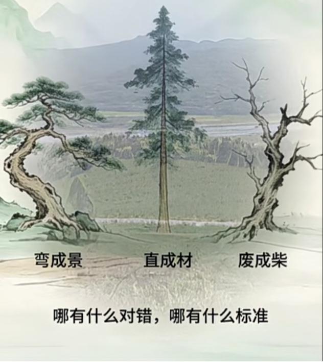 〔欣赏图片〕
图中有趣三棵树；
中间挺拔又笔直；
旁边两棵形状异；
别看三棵不一