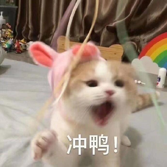 已经起床了，今天的状态如下[可爱] ​​​