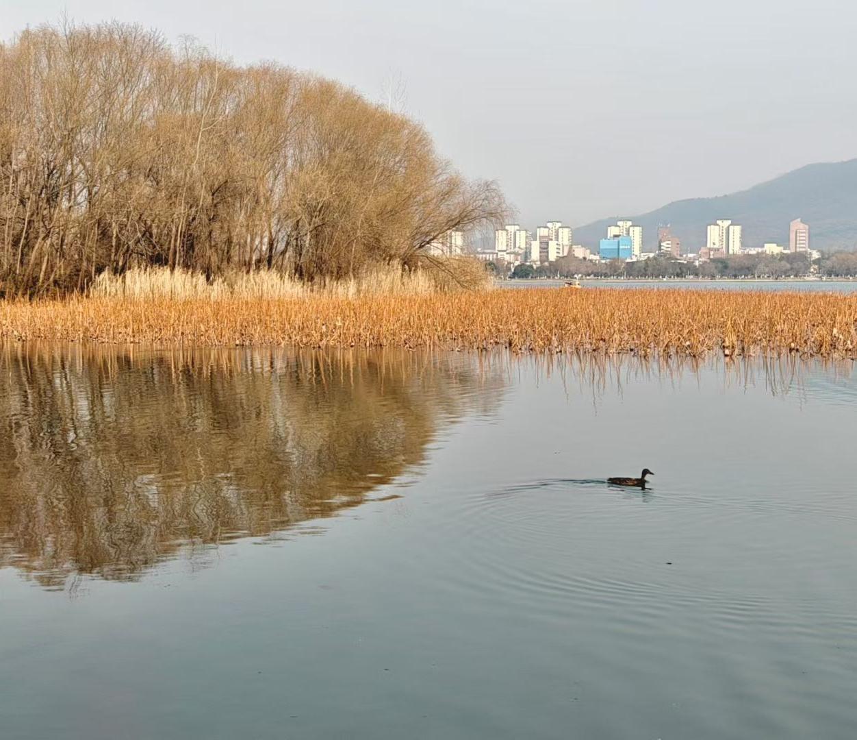 心疼自己，是头等大事

人这一生，总在追逐些什么——学业、事业、家庭、成就。我们