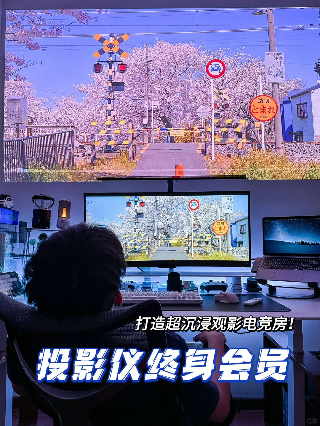 家庭影院那么多🎥我的送一辈子视频会员