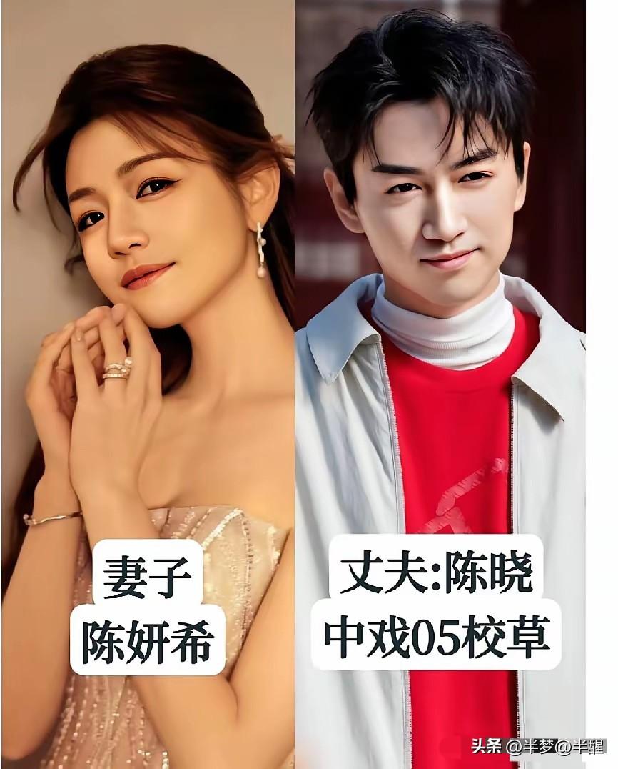 这些荧幕上亮眼的女演员，身边的丈夫当年都是校内出众的校草。青涩时代自带光芒的少年