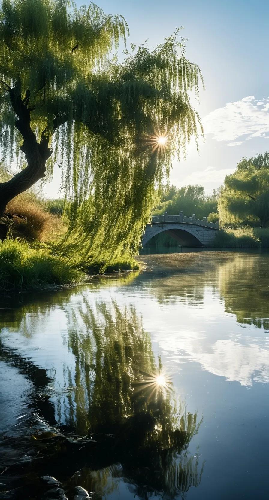 拍拍身边风景