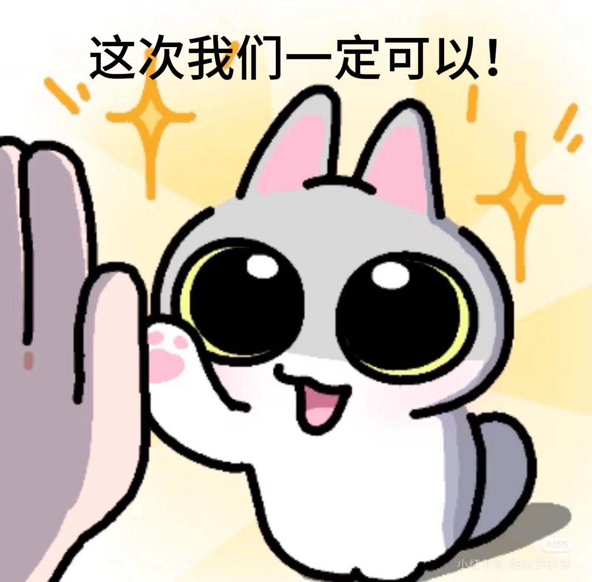刘诗诗沈乐水 lss刘诗诗醉梦 晚间派对开始咯‼️今天继续点点姐姐的品牌博～狮子