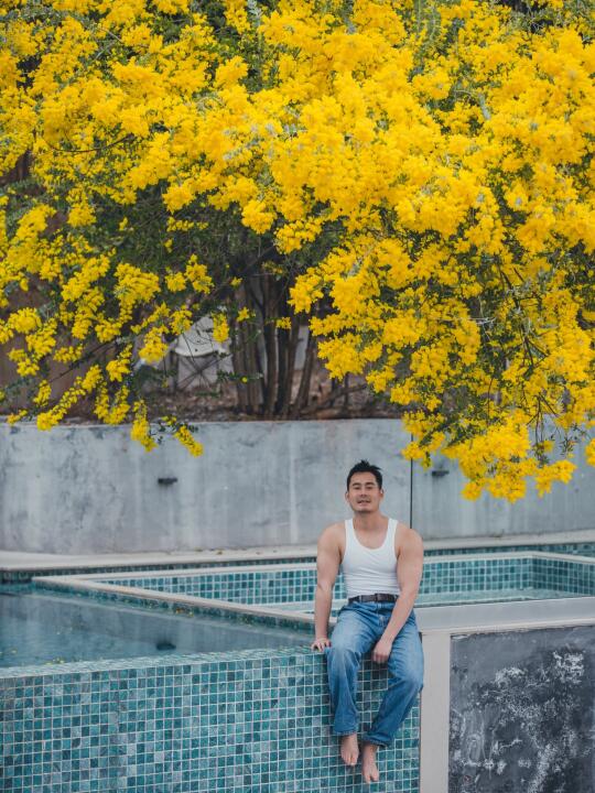 春日限定的金黄瀑布下午茶｜坠入梵高调色盘