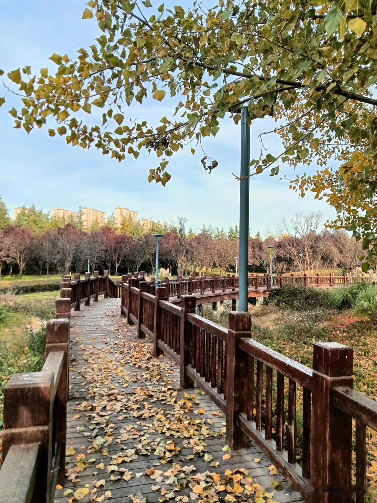 去沣东王寺给亲戚家送个物件，到了下午3点多从他家出来顺便去沣东足球公园转了转。挨