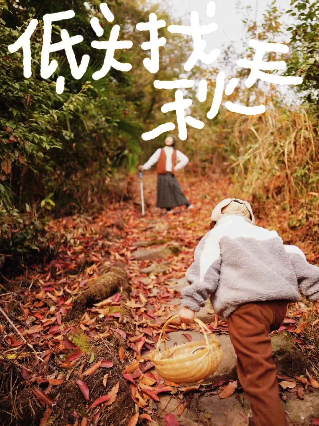 树莓进度💯｜在远远乡共度莓好时光
