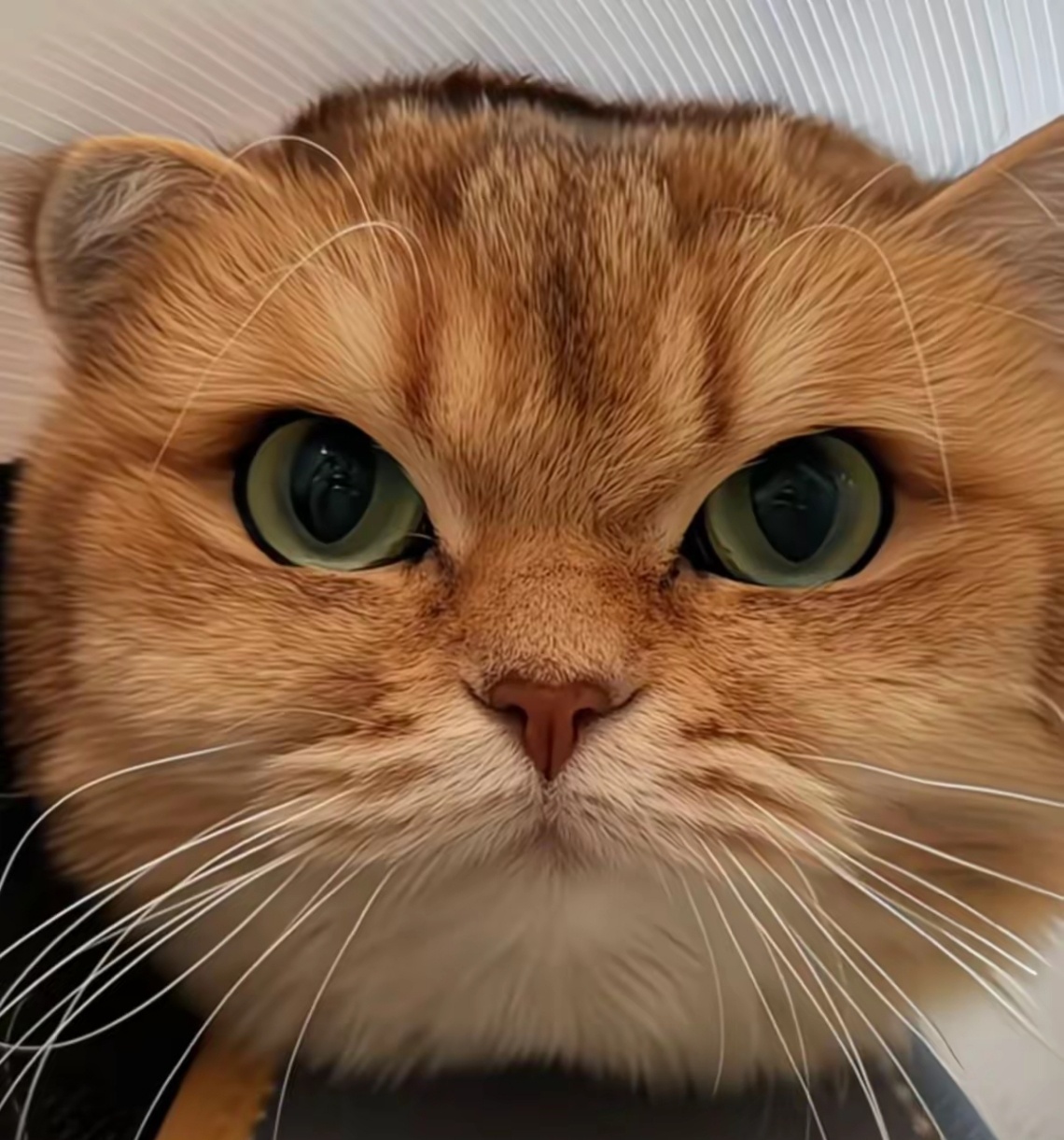 生气😠 