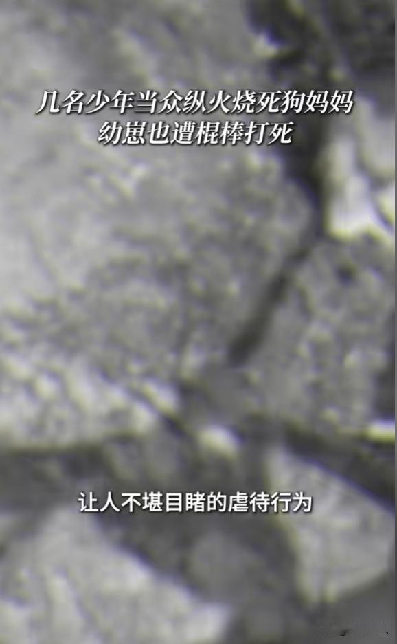 “天生坏种！”6月30日报道，广东揭阳，4名男孩盯上一只流浪狗，他们先用棍棒抽打