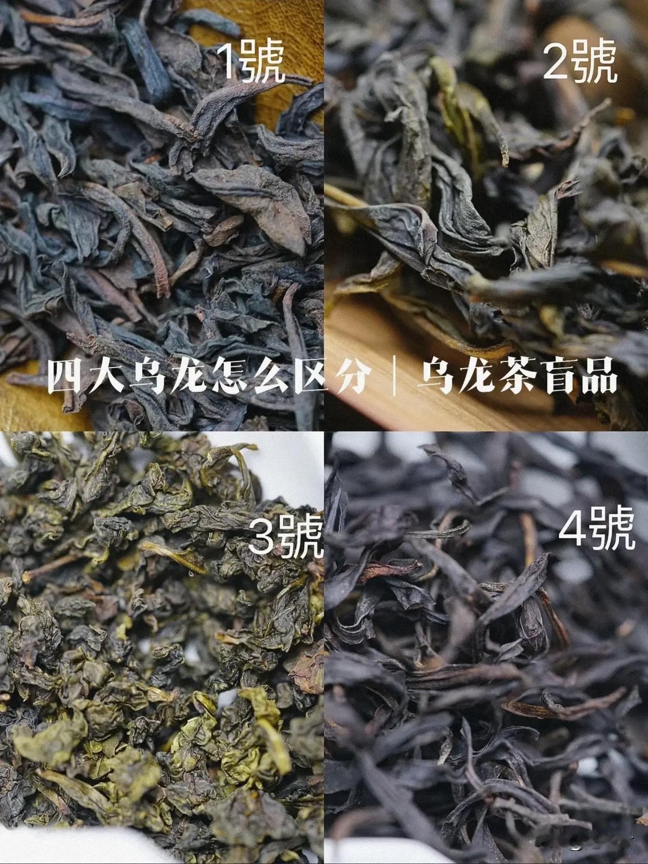 喝茶能区分出六大茶类，对大多数人来讲就已经比较细致了，其中的乌龙茶又最宽广。
