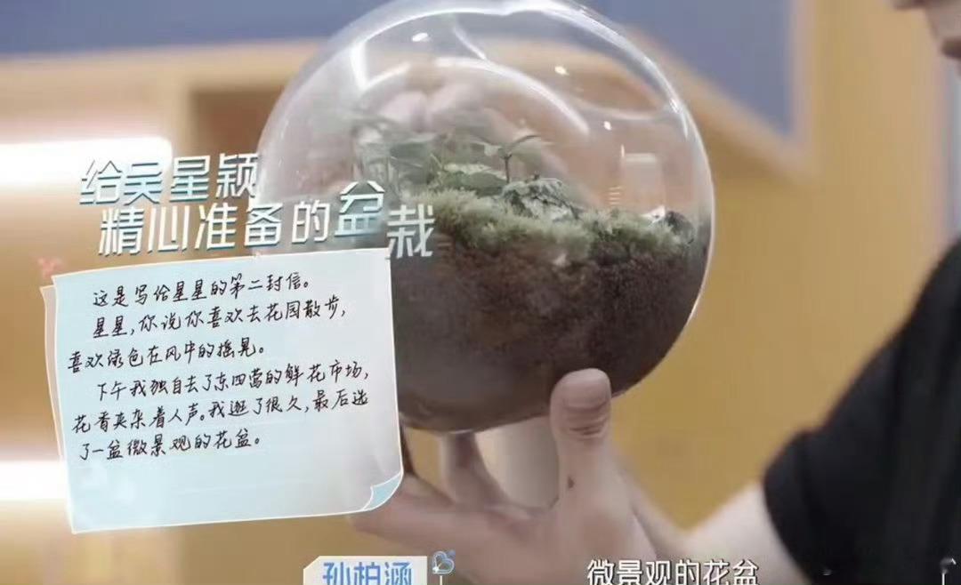 吴思颖拿的是孙柏涵给吴星颖准备的东西吴思颖化身专属爱情小信鸽🕊️大包小包前去探