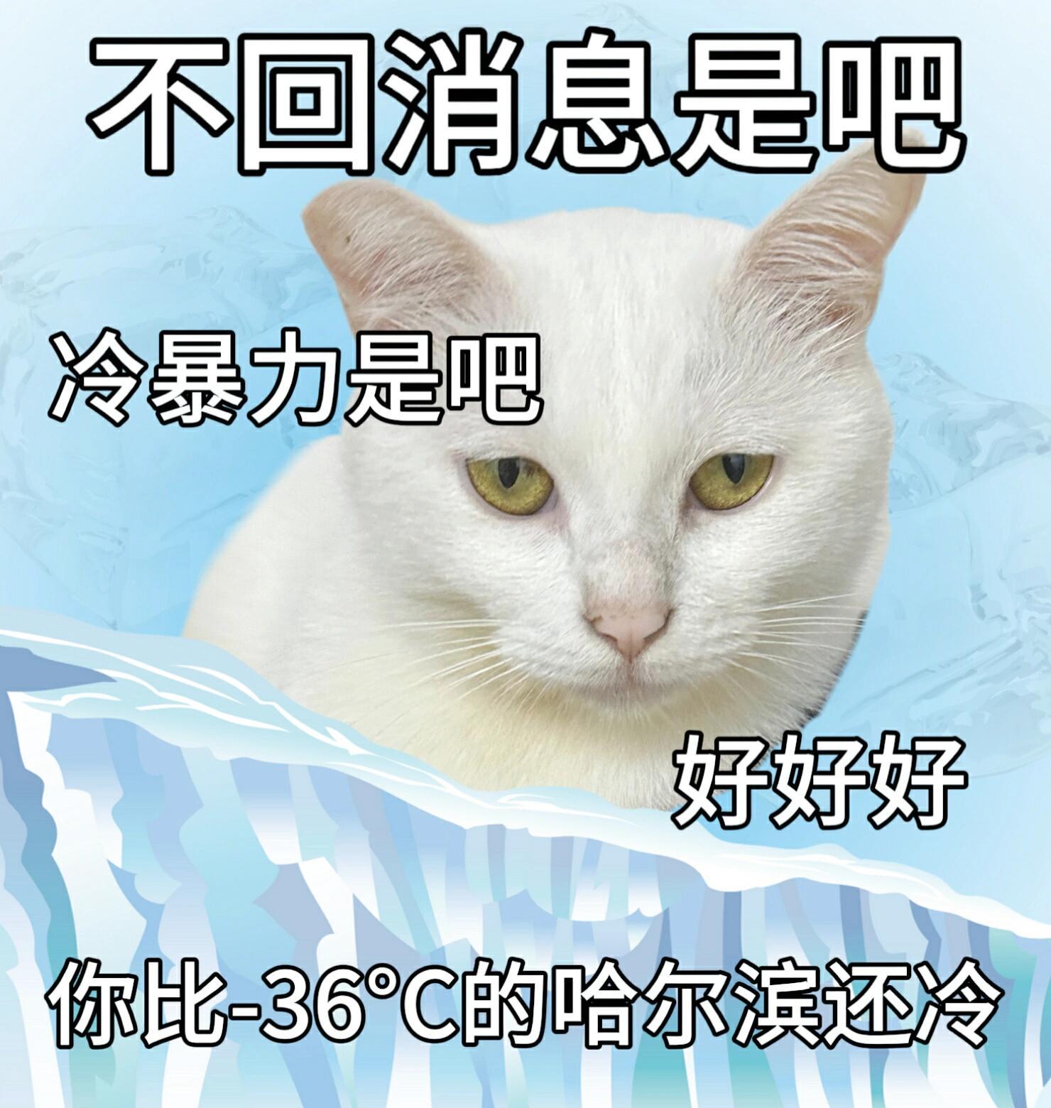 不回消息是吧，好好好❗ ｜表情包 