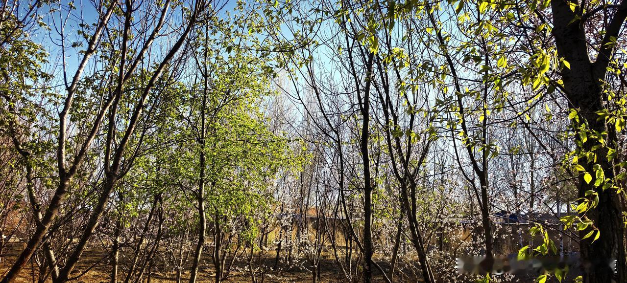 我认为应该管。毕竟，还没经过太多的人生风雨，管的做法，会让他（她）少走一点弯路！