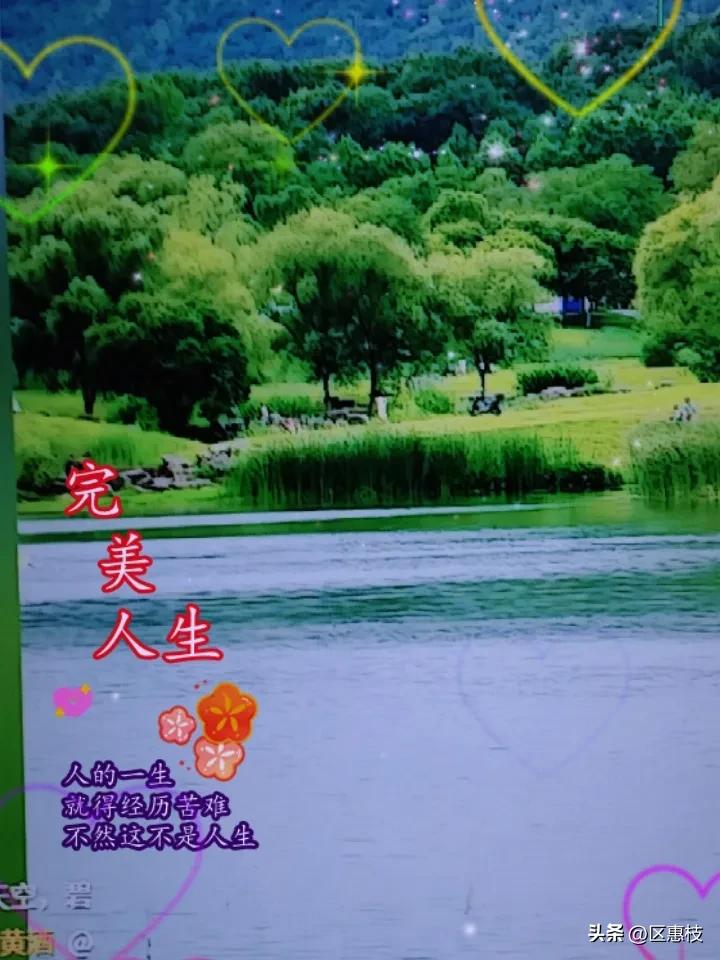 城市公园风景如画。