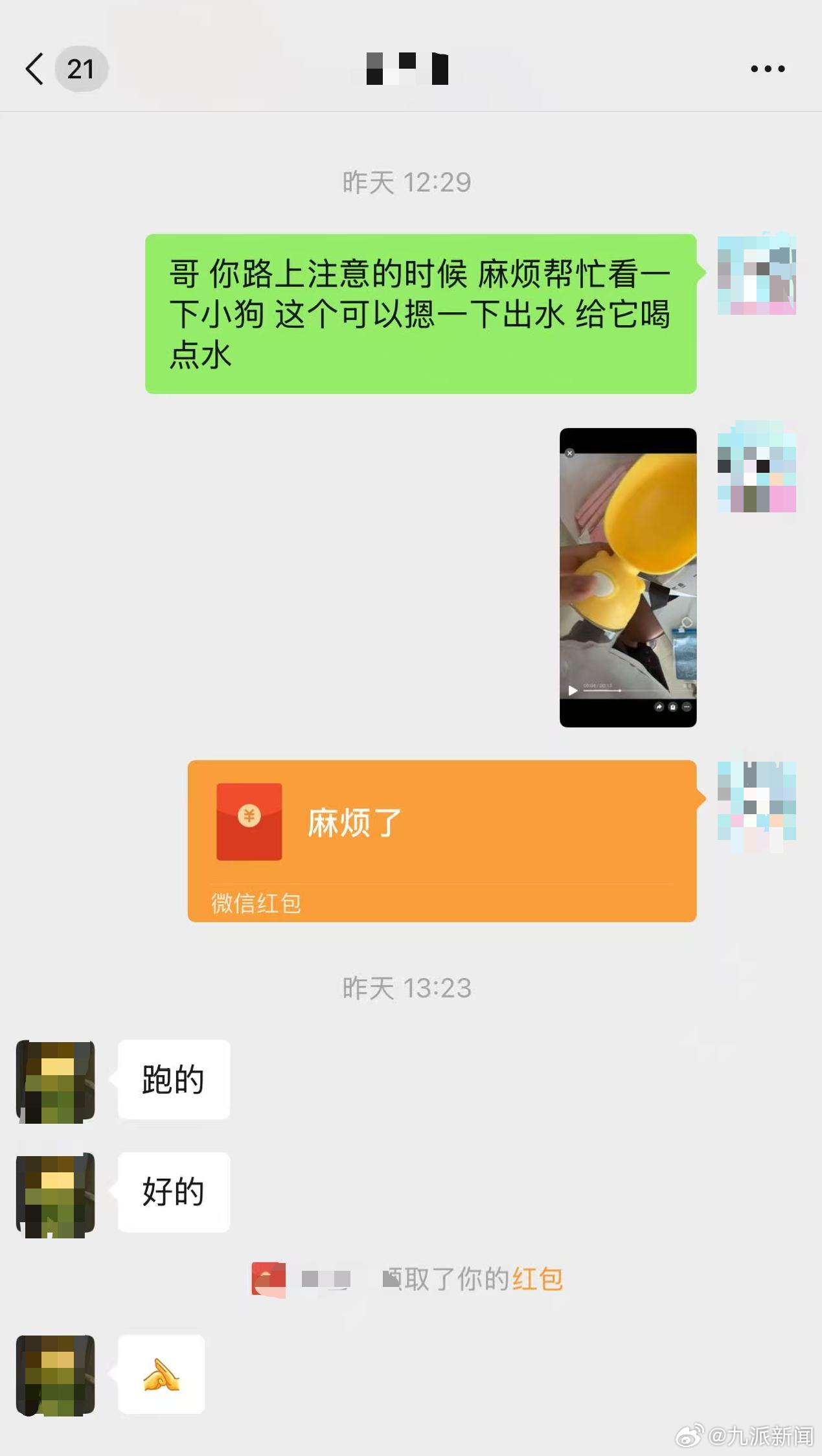 #女子反映爱犬乘坐哈啰顺风车丢失#【#爱犬乘哈啰顺风车丢失女子发声#：司机私自转