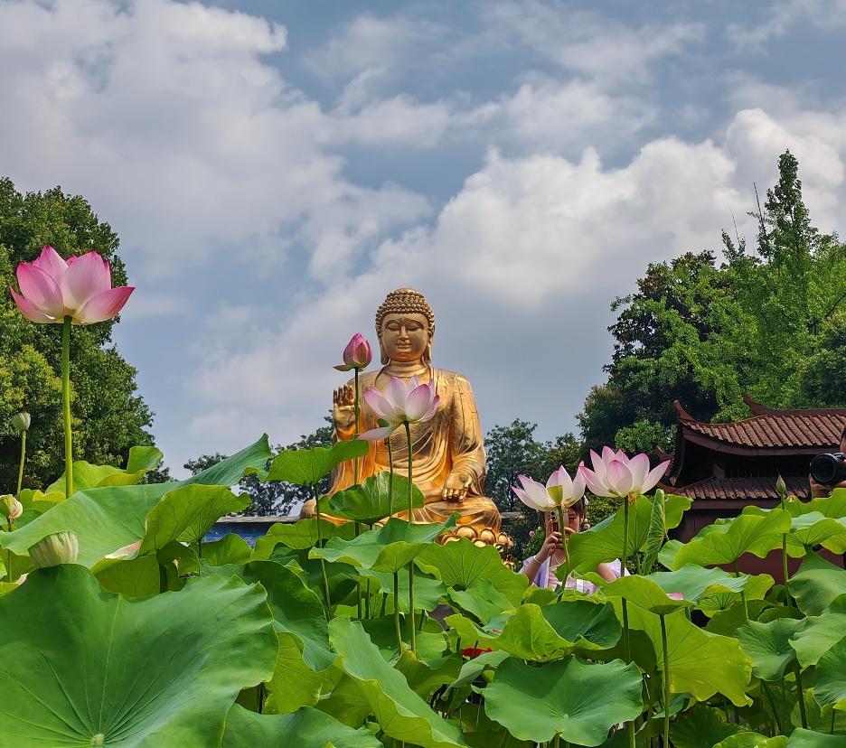 比起需要资源积累、机遇巧合的其他路径，通过读书获取学历，是普通人不用仰仗背景、不