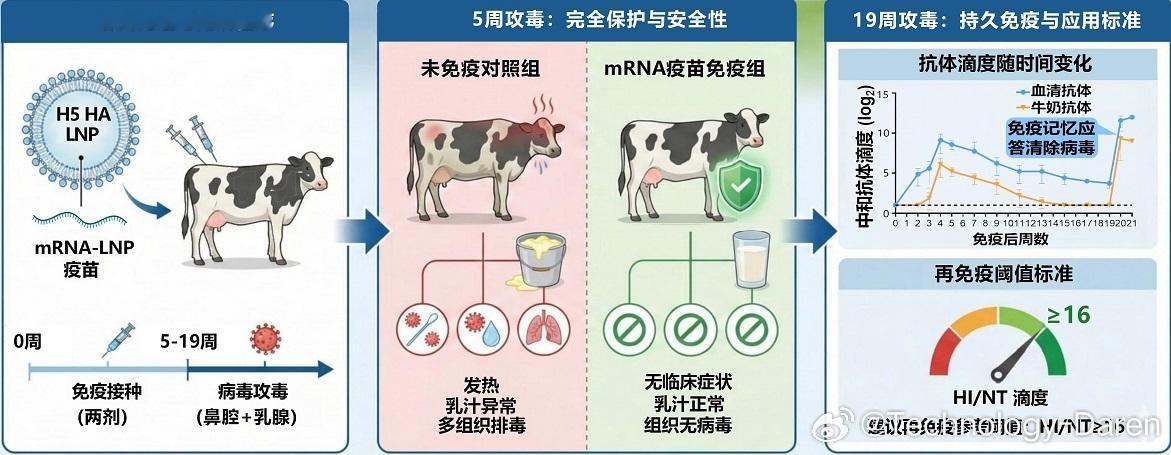 最新科技消息 【首款安全有效H5牛流感mRNA疫苗研制成功】近日，中国农业科学院