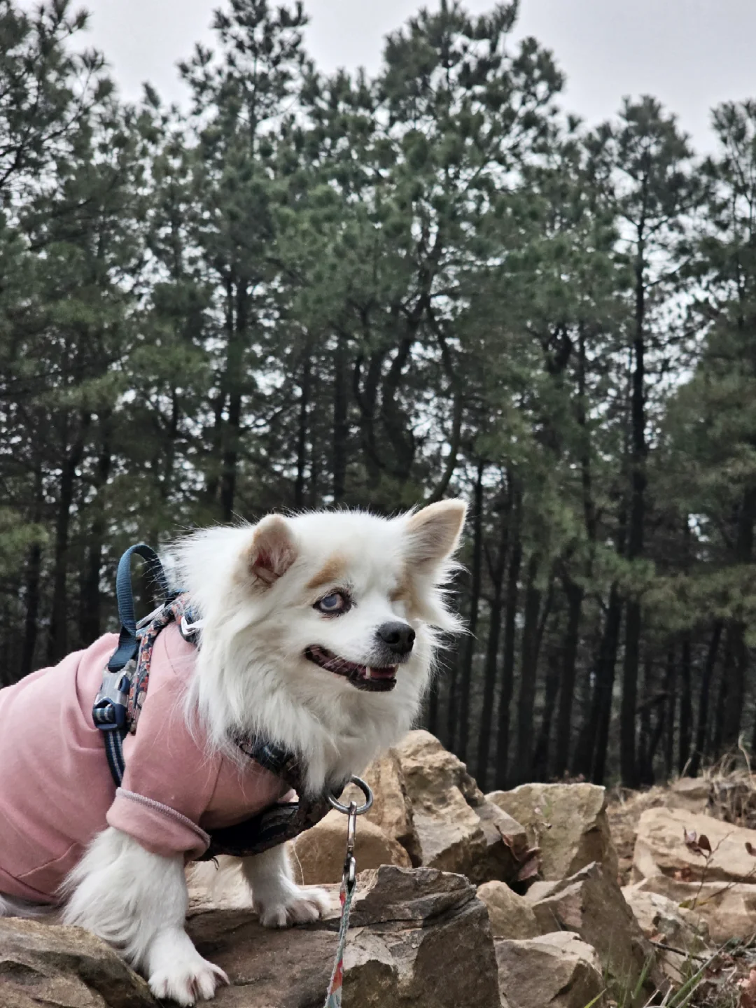 和妈妈徒步苏州西山，挑战成功！