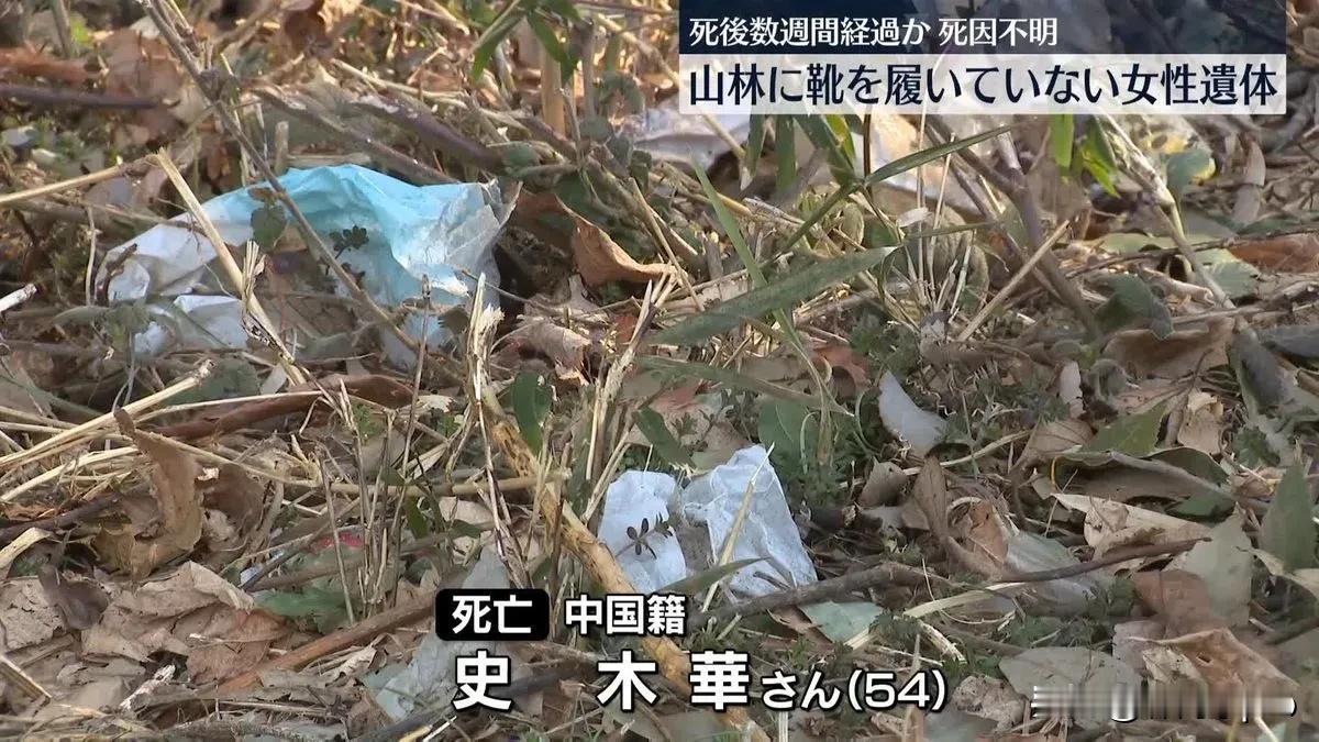 太让人揪心了。一位在日本茨城县生活的54岁中国女性，史大姐，被发现陈尸于一处偏僻