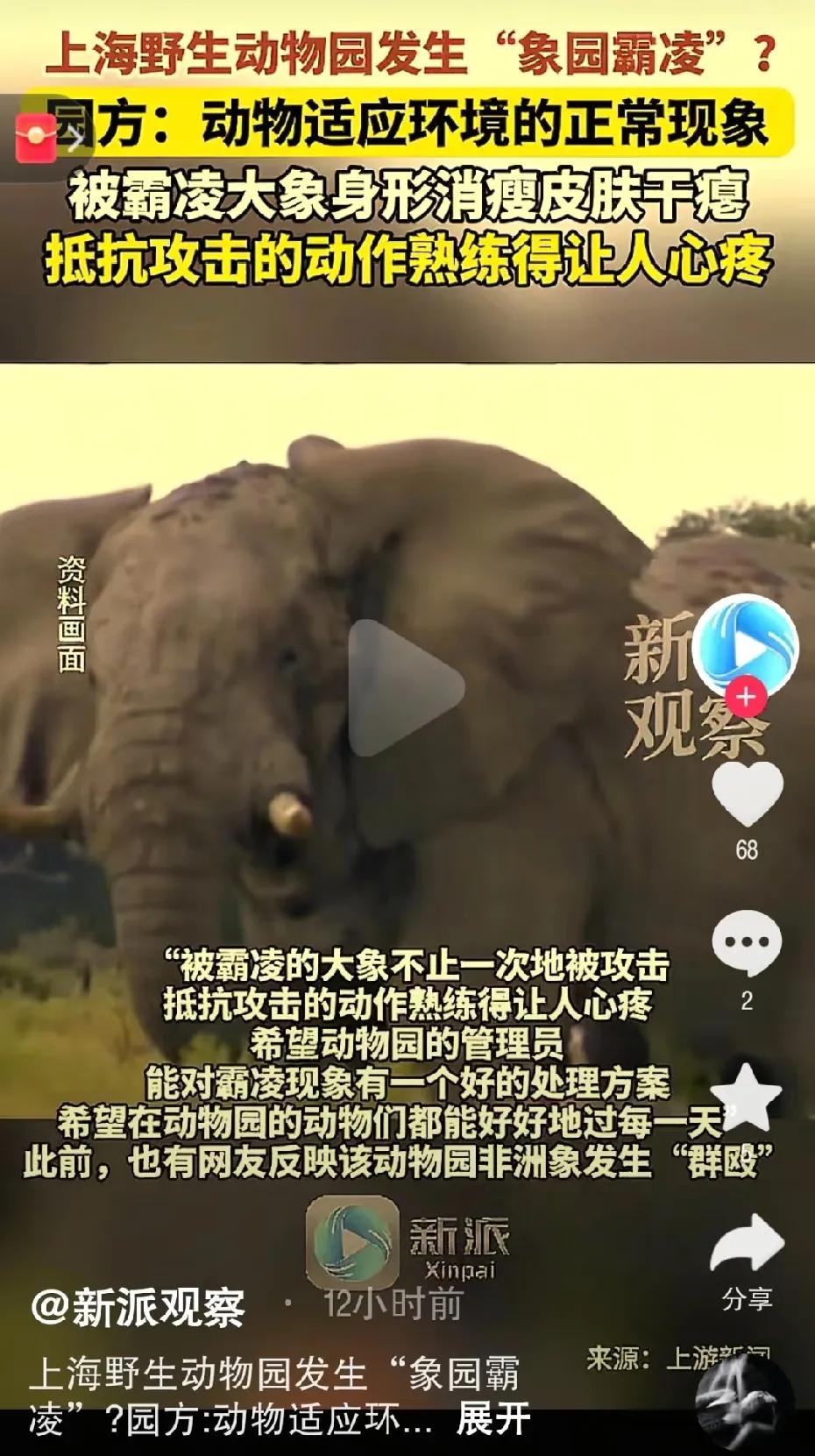 象园霸凌！近期，上海野生动物园，一只小象被霸凌三年，没有新鲜的草料可吃，身形消瘦