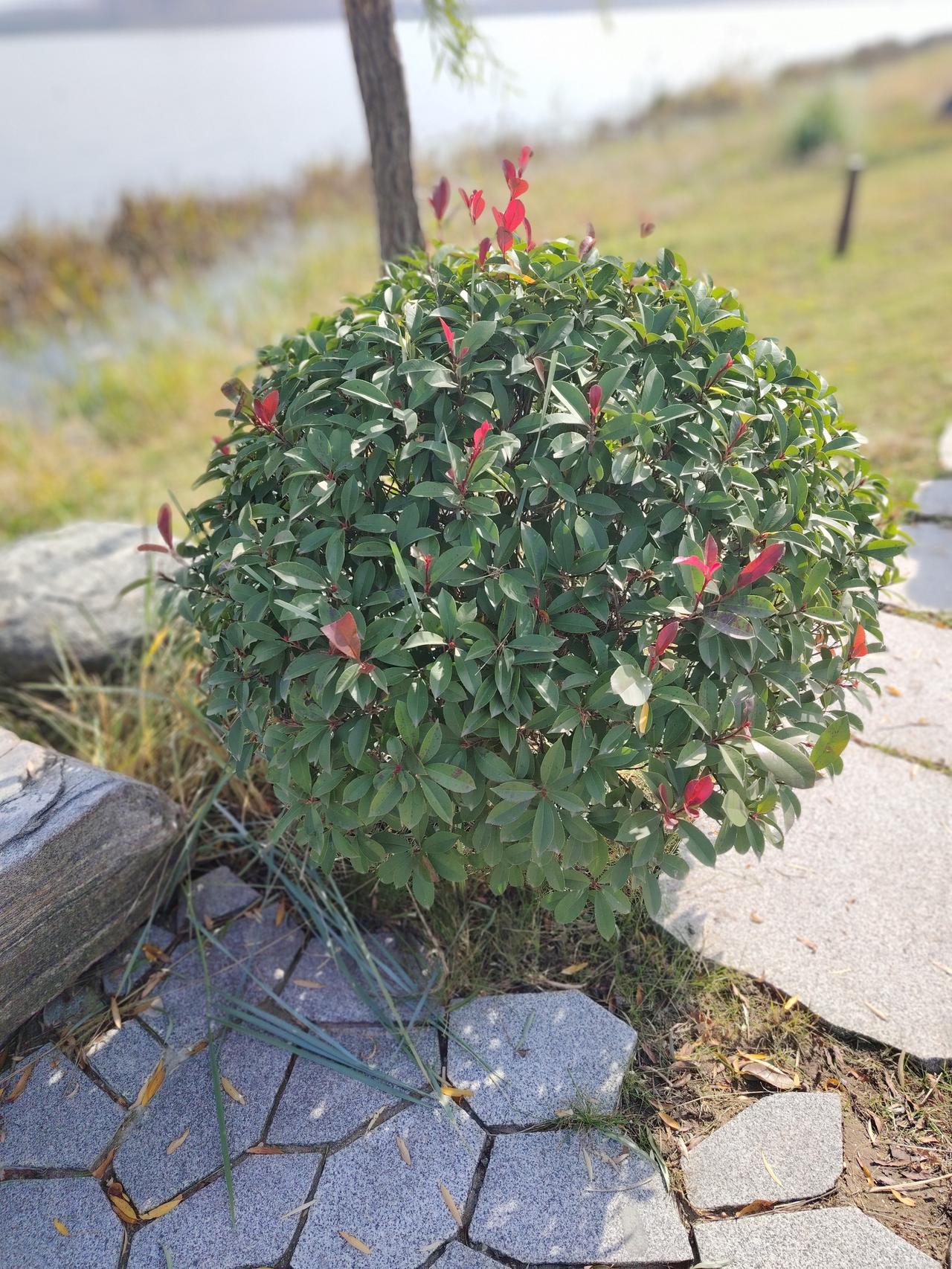 如何吸引别人的注意力
有一次领导，发了一条自己人生感悟的微信圈，大家纷纷点赞，无