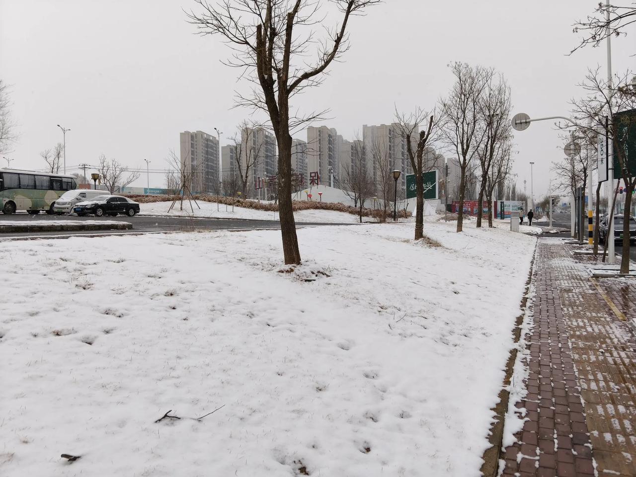 我今天专门开车出来欣赏大雪的，出门的时候雪不大，现在的天使上午的9点56分雪真的