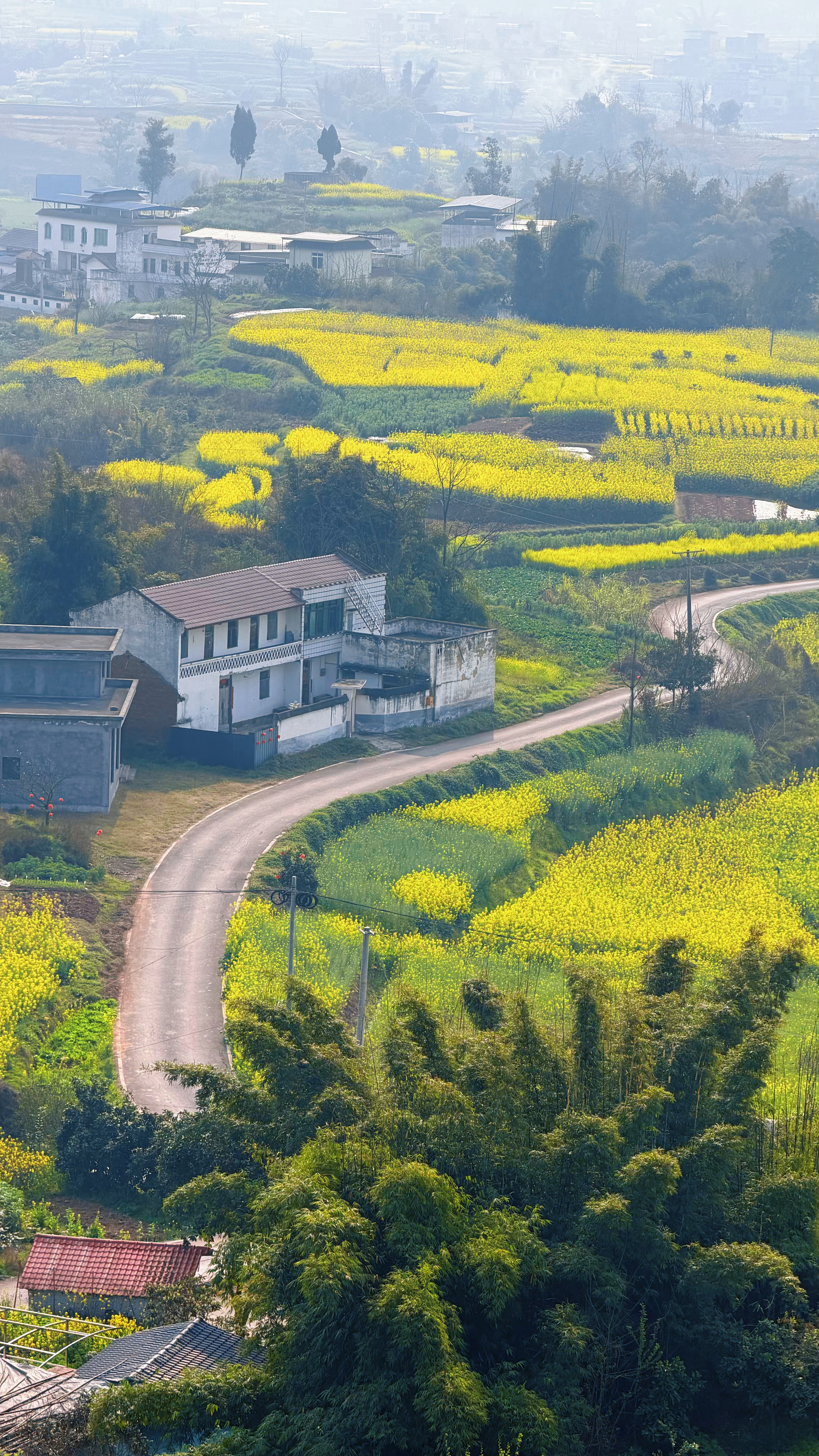 今天不在丽江，就在四川喻寺谭坝，花海、风景、空气样样巴适，随手一拍都是大片！在外